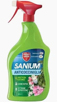 sanium anticocciniglia