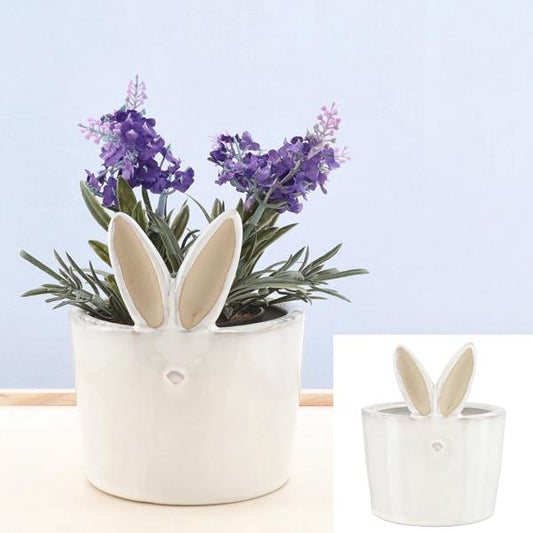 vaso x conigli bianco