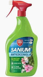 sanium anticocciniglia